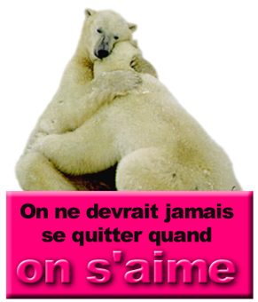 amour